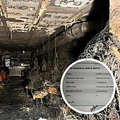 Madrid avala la licencia del restaurante incendiado pese a estar censado como «bar sin cocina»