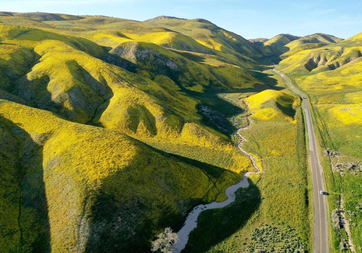 La &#039;super floración&#039; de California, en imágenes