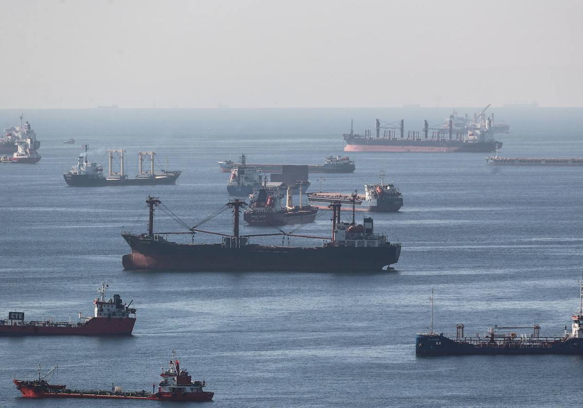 Barcos transportan grano ucraniano a Turquía.