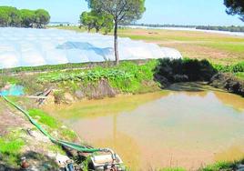 Extracción de agua en una zona de cultivos del entorno de Doñana.