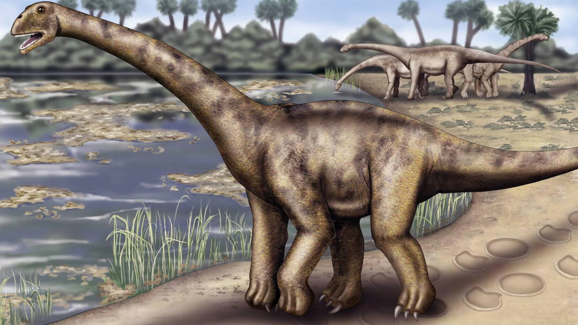 How could the largest dinosaurs have weighed 90 tons?