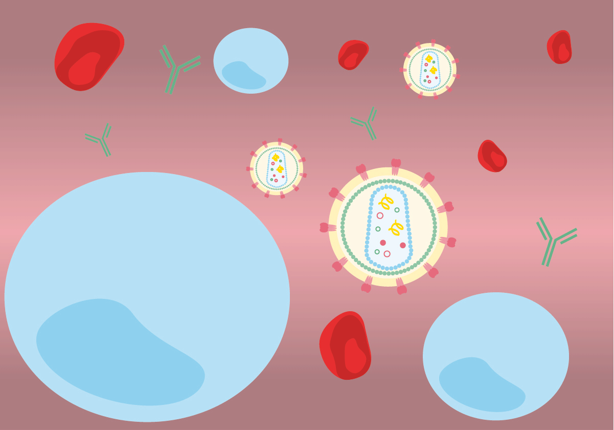 Así actúa el medicamento elegido como avance científico del año