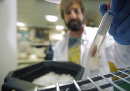 Un investigador del CNIO trabaja en uno de sus laboratorios.