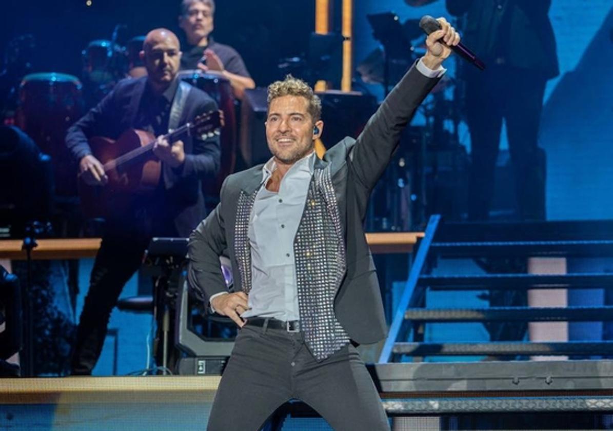 El cantante David Bisbal , en un concierto.