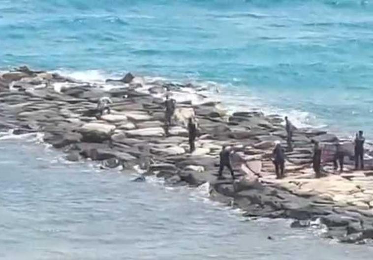 Un jabalí causa el pánico en una playa de Alicante y deja dos heridos