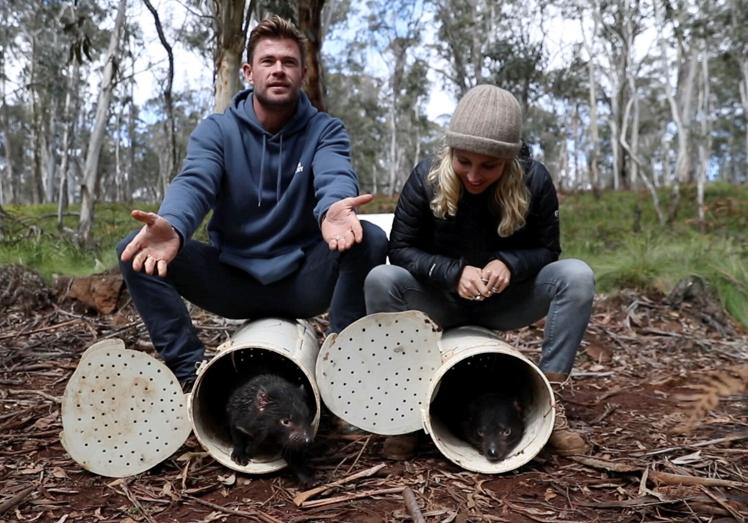 Chris Hemsworth and Elsa Pataki release Tasmanian devils in an Australian bush.