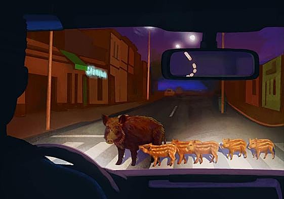 «He atropellado a un jabalí, ¿qué hago?»