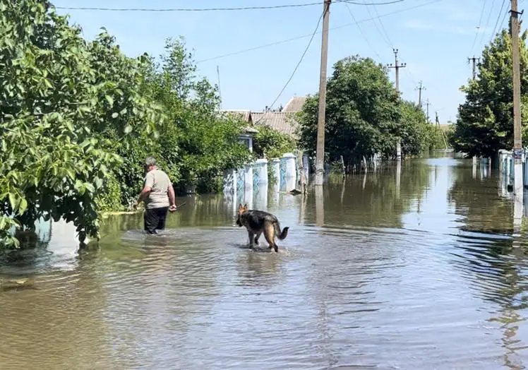 Imagen principal - El estado en el que ha quedado Afanasivka tras las inundaciones.