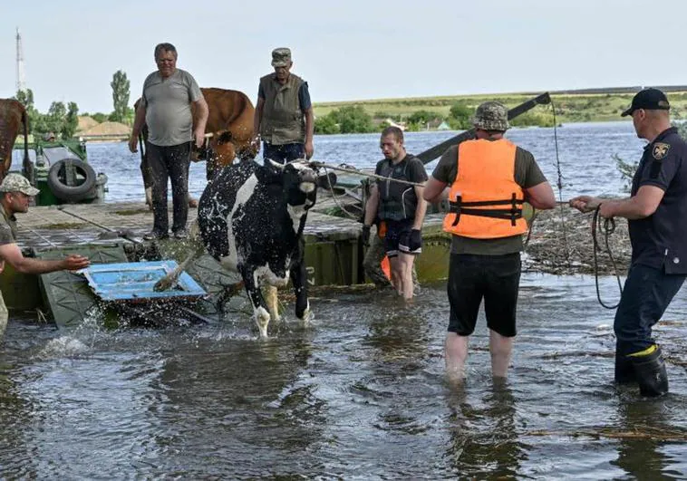 Equipos de emergencia evacúan amplias zonas inundadas de la región de Mikolaev.