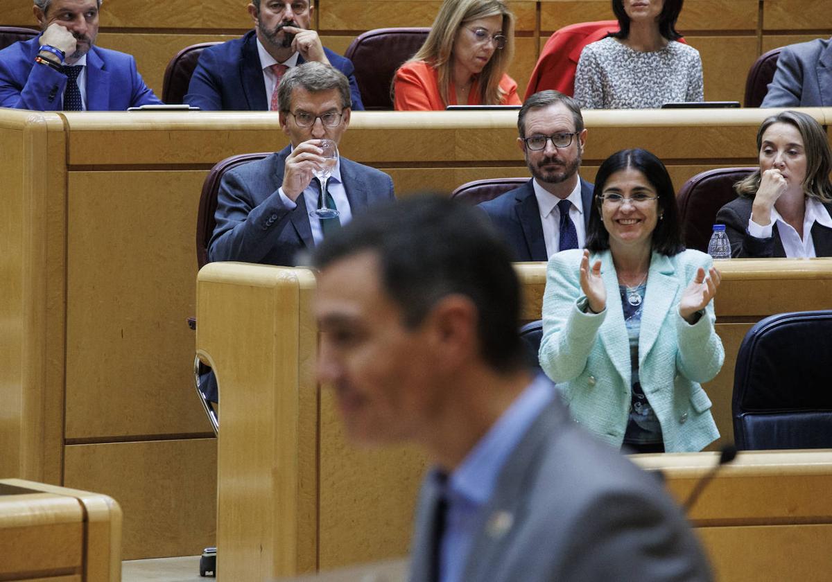 Alberto Núñez Feijóo, durante un debate en el Senado.