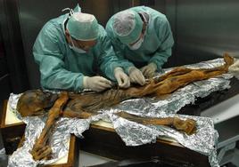 Científico examinan el cadáver de Otzi, el Hombre de los Hielos.