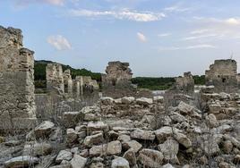 Las Tablas de Daimiel se mueren al cumplir 50 años como Parque Nacional