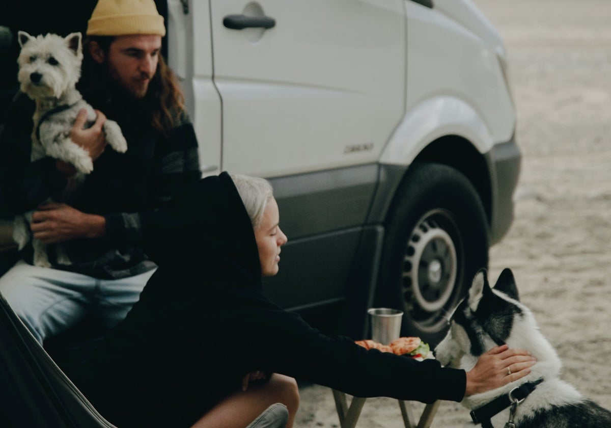 Viajar con tu mascota en autocaravana