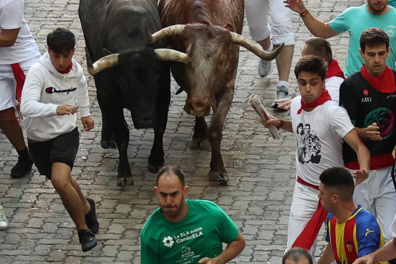 Los toros de la ganadería de José Escolar en el segundo encierro de los sanfermines 2023.