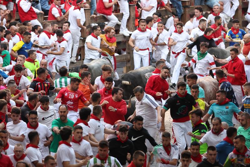 Uno de los toros abría la manada.