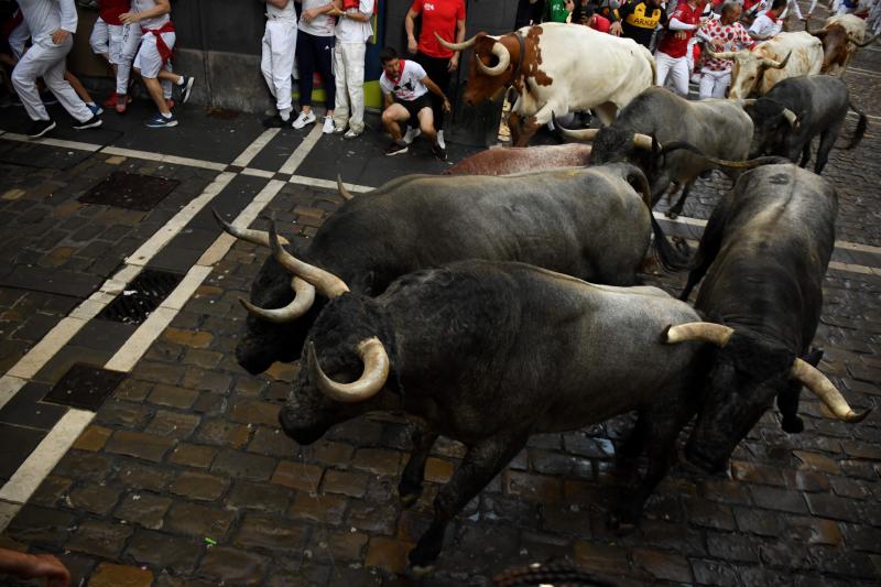 Los astados de José Escolar protagonizan el segundo encierro de San Fermín.