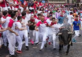 Un toro de la ganadería gaditana de Cebada Gago en el tercer encierro de San Fermín 2023.