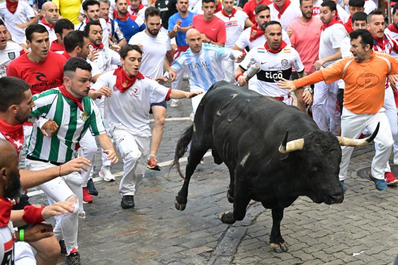 Mozos corren tras uno de los de la ganadería de Cebada Gago