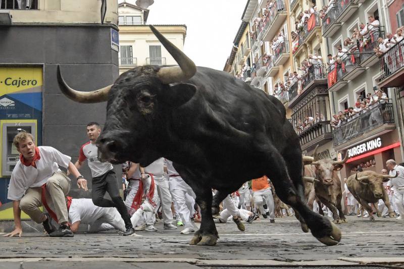 La manada de la ganadería de Núñez del Cuvillo a su paso por la curva de Mercaderes.