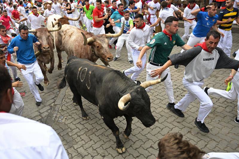 La manada ha salido muy estirada ya desde el inicio. Un toro negro se ha adelantado al resto de sus hermanos y ha liderado la manada.