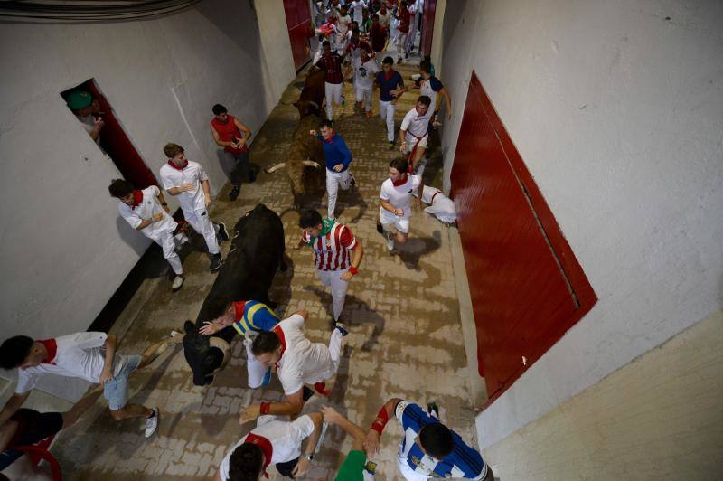 Imagen de los astados entrando a la plaza. 