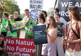 La activista por el clima Greta Thunberg ha mostrado su apoyo a la ley de restauración de la naturaleza.