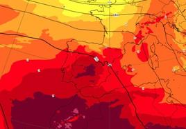 Calores