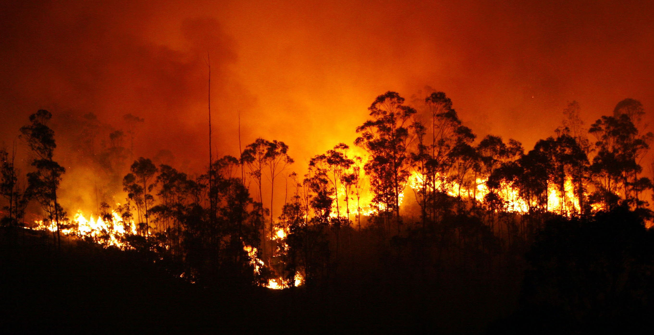 Incendio forestal en las Fragas do Eume (A Coruña).