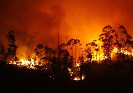 Incendio forestal en las Fragas do Eume (A Coruña).