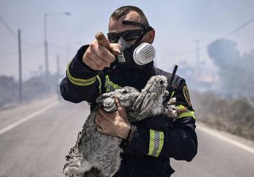 El Gobierno griego declara la «guerra» a unos incendios que se extienden a Corfú