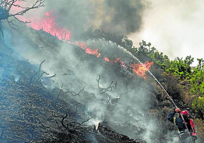 Los bomberos trabajan sin descanso en diferentes puntos de la isla de Rodas, como este bosque de Vati.