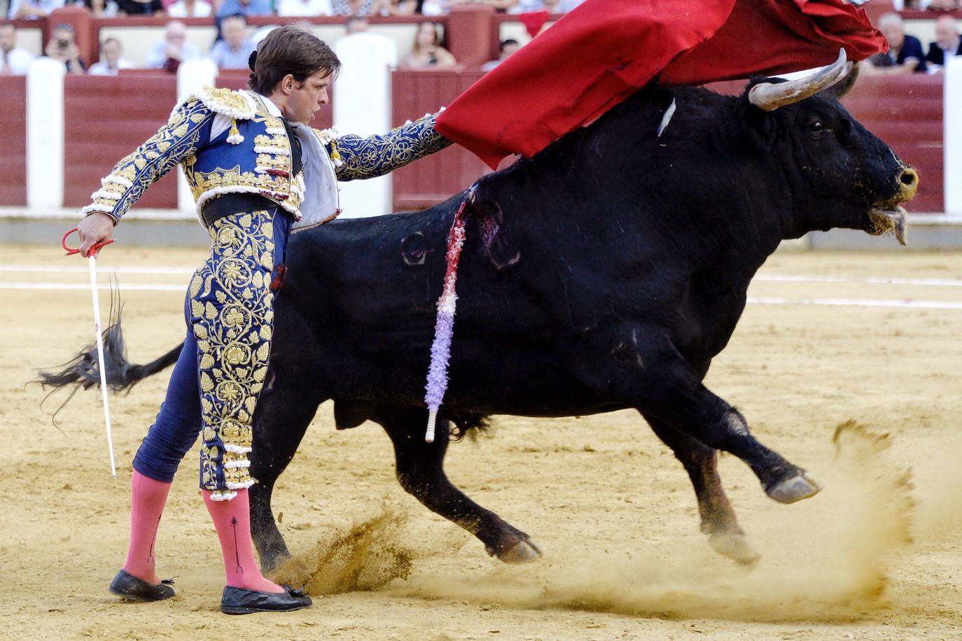 Durante la corrida de la Feria de Nuestra Señora de San Lorenzo de Valladolid de 2018