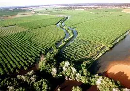 Vista del río Guadiamar en 1989, en la que se aprecia las zonas de cultivo inundadas por los residuos tóxicos de la mina.