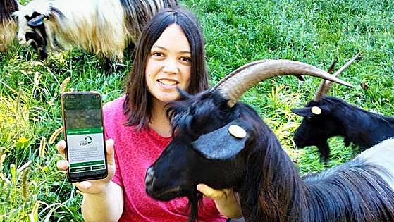 'Vacapop', la app que arrasa entre los ganaderos