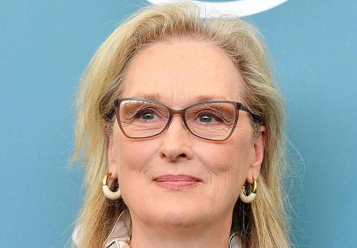 Meryl Streep ha donado al menos un millón de dólares para la caja de resistencia.