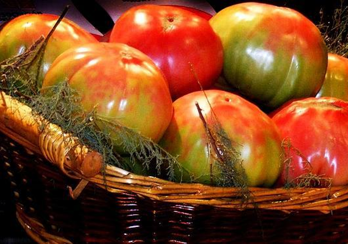 Una bandeja con tomates.