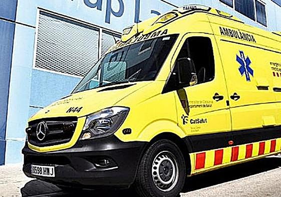 Muere una mujer al caerle encima una palmera en Barcelona