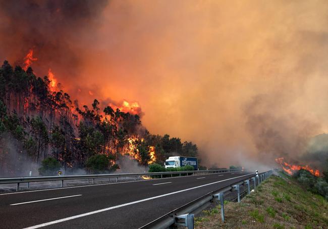 Un incendio forestal cerca de la autopista A1, una de las principales carreteras del país