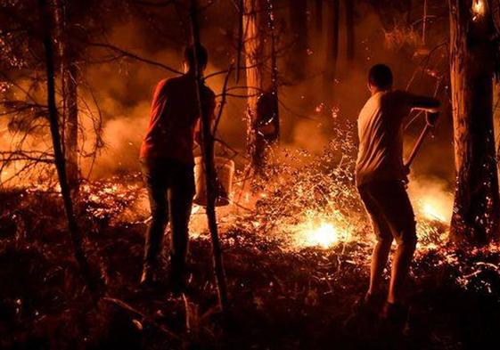 Dos vecinos de Leiría, en el norte de Portugal, intentan apagar un incendio forestal