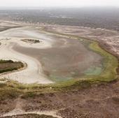 La laguna más grande de Doñana se seca por segundo año consecutivo