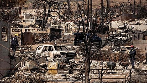 Hawái busca a las víctimas del fuego: «Muchos niños estaban solos en casa y tememos que estén muertos»