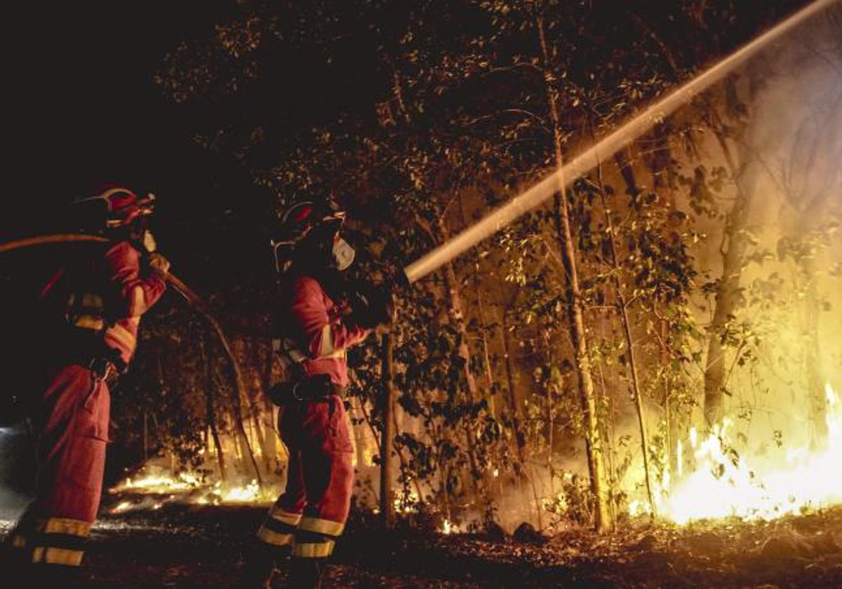 Efectivos de la UME en labores de extinción del incendio forestal que afecta a la isla de Tenerife.