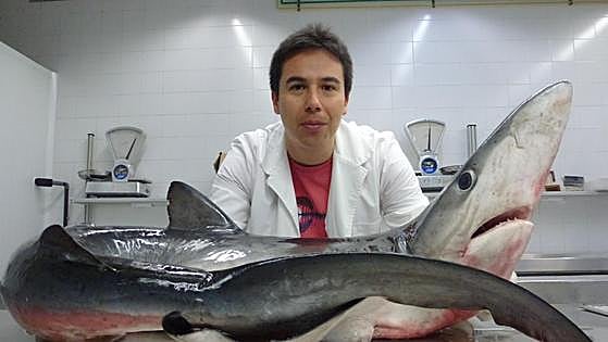 «No tenemos que tener miedo a los tiburones, más bien ellos a nosotros»