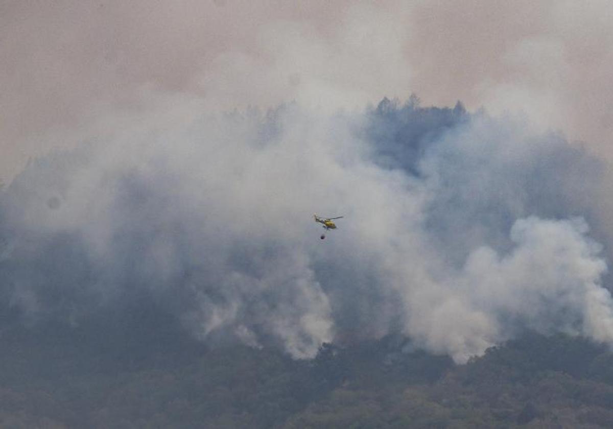 Incendio en Tenerife.