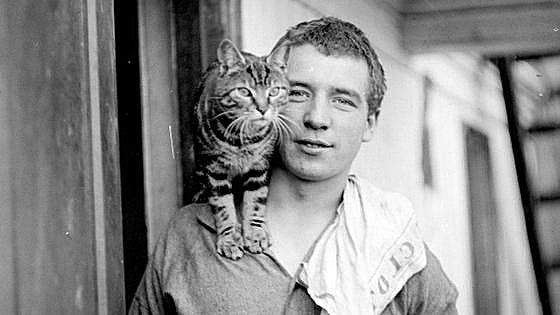 El polizón gafe de Shackleton