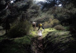 El legado olvidado de las acequias medievales que revive en Andalucía