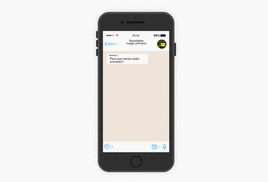 Reconstrucción de los mensajes escritos en el chat del grupo de Whatsapp.