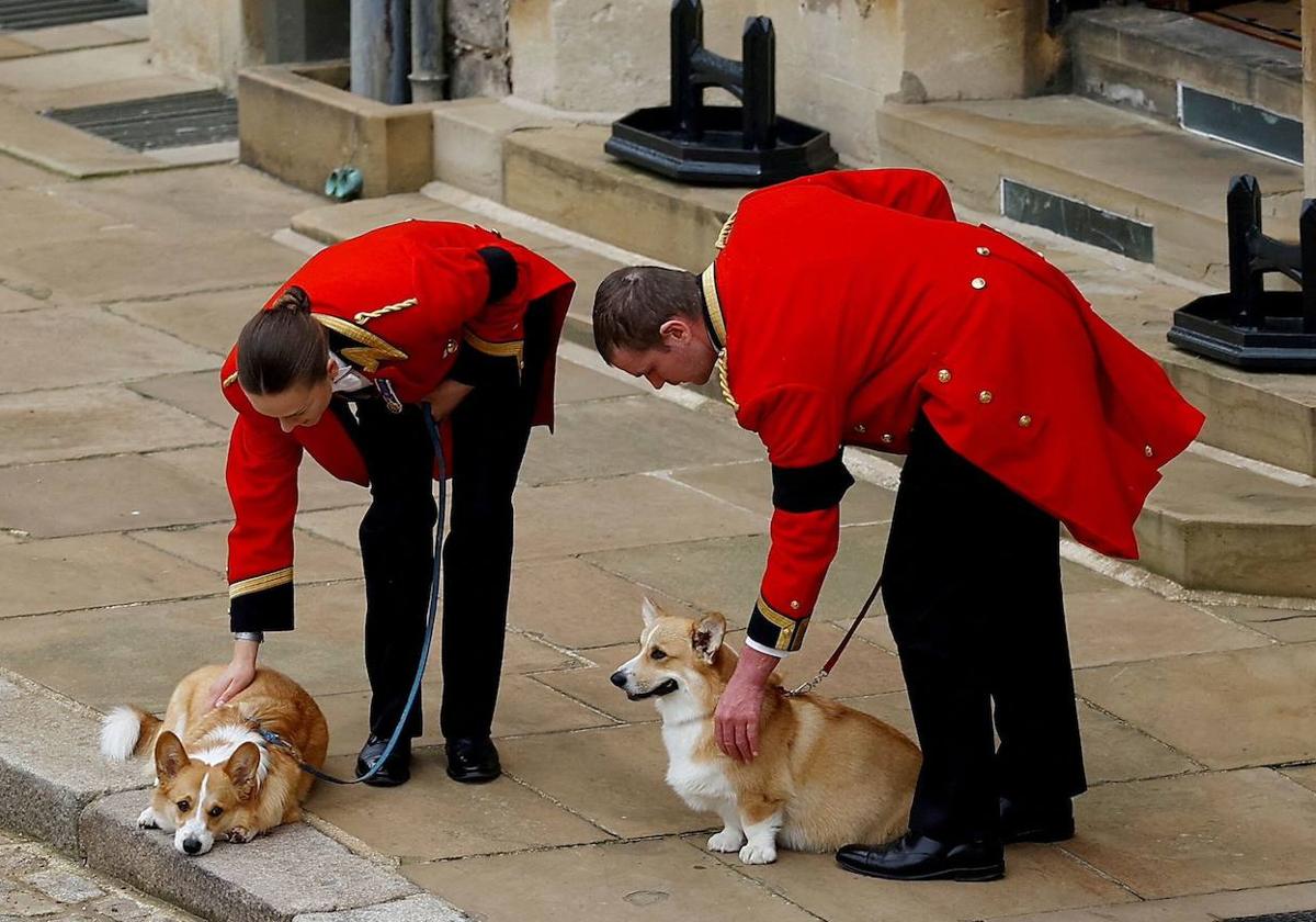 Muick y Sandy, en Windsor, el pasado 19 de septiembre, en el funeral de Isabel II.