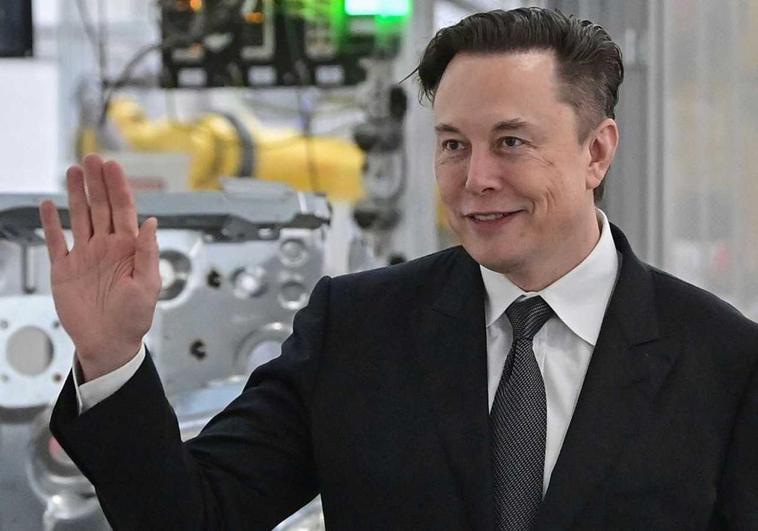 La culpa es de Elon Musk