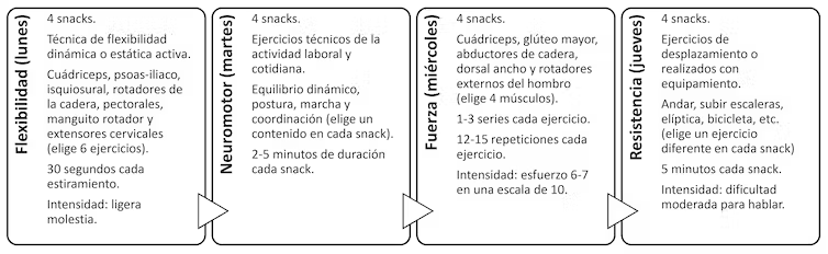 Distribución de los contenidos y carga de actividad física.